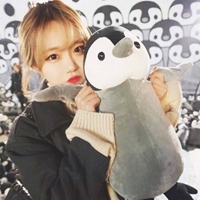 高清头像女生唯美 让人羡慕的容颜