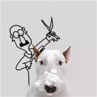 ​可爱的宠物名字，甜腻可人微爱宠物名字-可爱点