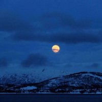 ​有乐趣的网名