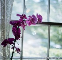 ​个性空间留言（适合发空间的短句说说心情）