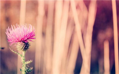 关于人生经历的说说