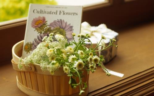 描写茶花的句子20字