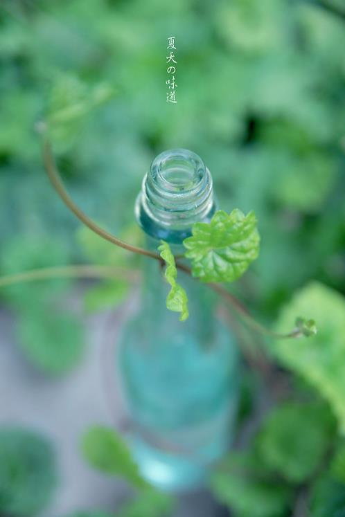 描写茶花的句子20字