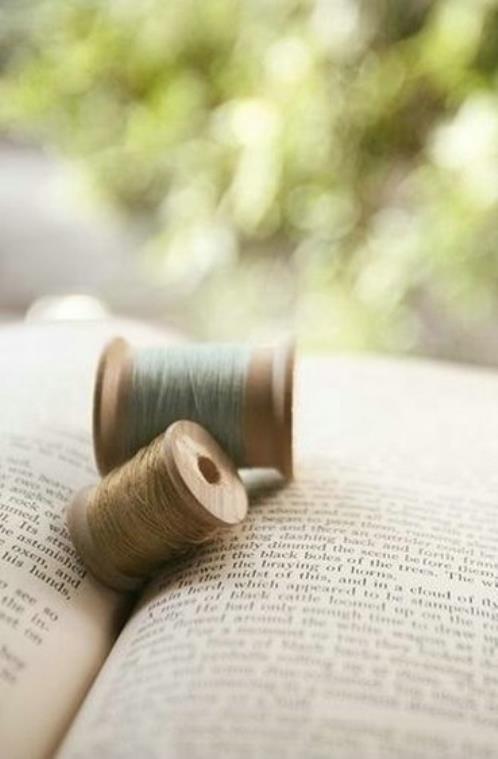 夏夜的梦好词佳句