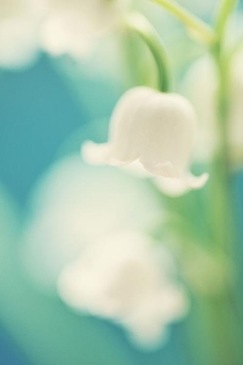 爱的太卑微没有尊严句子