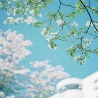 ​一家人幸福最暖心短句[48条] (晒一家人朋友圈幽默说说)