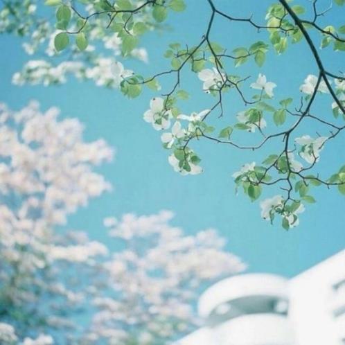 晒一家人朋友圈幽默说说