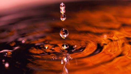 描写春天的句子有哪些