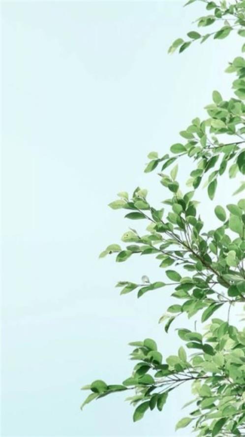 描写春天的句子有哪些