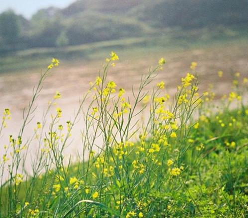 好久不见经典伤感句子