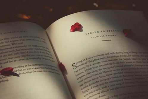 描写海边黄昏美景的句子