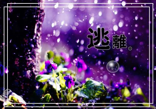 晚安语录温馨简短一句话正能量