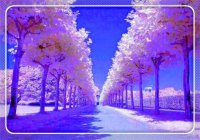 ​表达女人爱美的句子