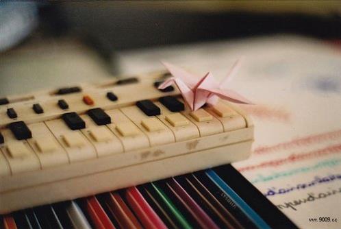 表达女人爱美的句子