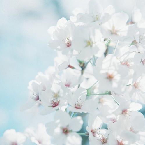 冬天下大雪的祝福语