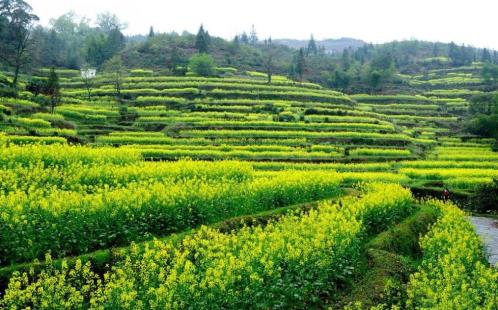 关于38妇女节的祝福语