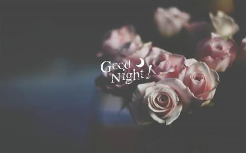 一生不得不读的早安语录微博语录