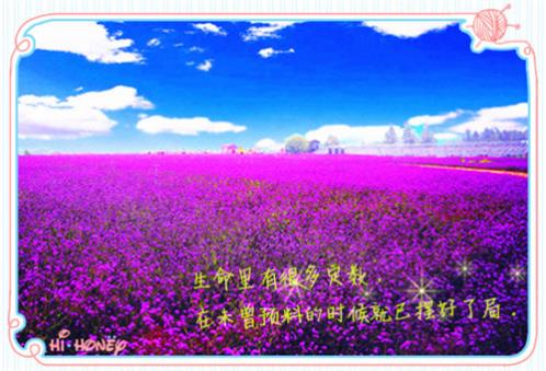 中考励志名言短句霸气