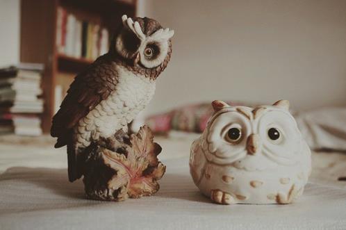 阳光句子说说心情短语