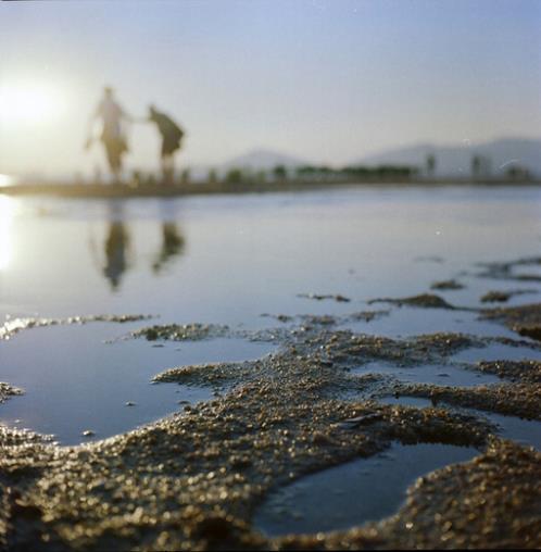 阳光句子说说心情短语