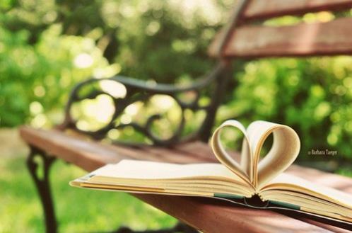 关于宽容别人的句子