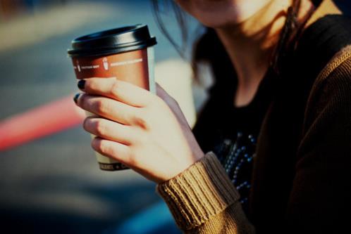 小动物的外貌描写30字