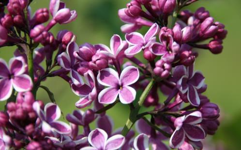 安慰情人心情低落的话