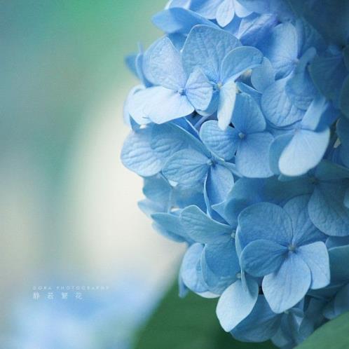 2022给朋友的虎年祝福语大全