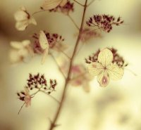 ​励志句子唯美简短 励志晚安心语临睡前的 晚安心语励志