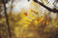 ​写给医生的祝福语怎么写