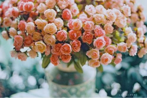 体验农村生活朋友圈说说