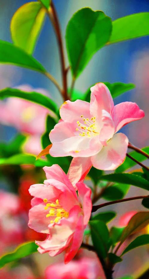 考上大学祝福语简短