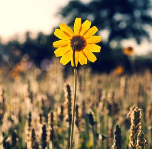 空间留言一些伤感句子