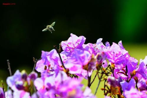 考试加油鼓励的话高二