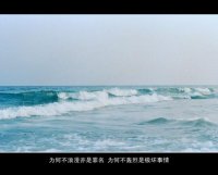 ​放羊的星星经典语录