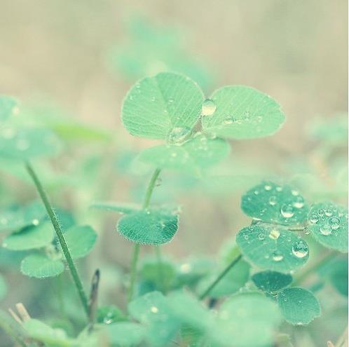 形容烦躁的句子