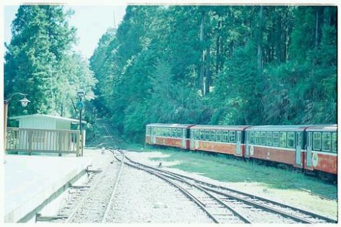 请好好善待自己的句子