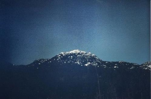 高情商说晚安的短句