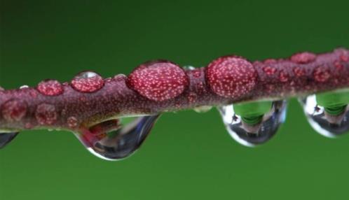 诗意般美好生活的句子