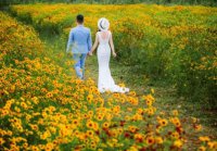 ​赞美医生的经典古诗 表扬医生精湛的句子