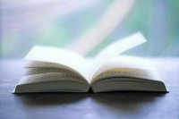 ​早安语正能量语录(每天早晨)