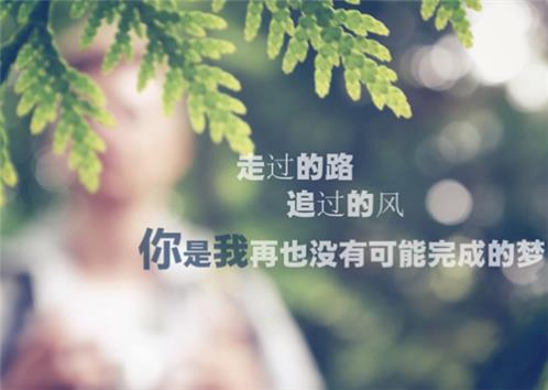 hello女模表白文本大全