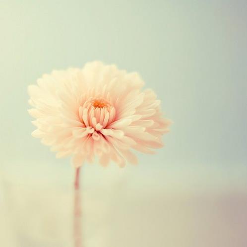 关于勇气的优美语段