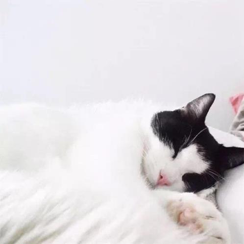 表达年轻人很努力的句子