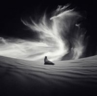 ​抒情经典句子(25条)：为什么你总让我伤心