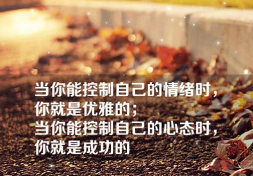 追求女人感动的句子