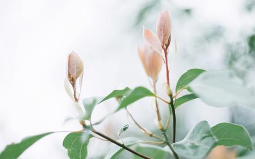 昵称情侣简短好听