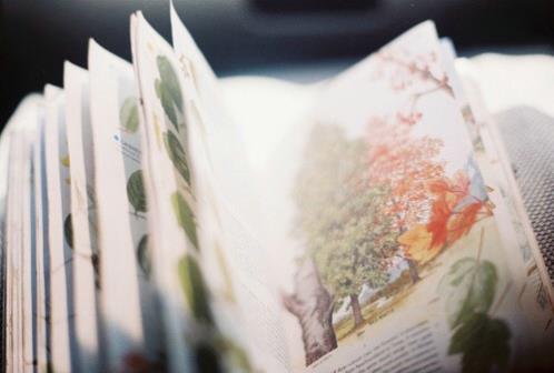 北京青年何西经典语句