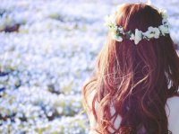 521情话写给女朋友