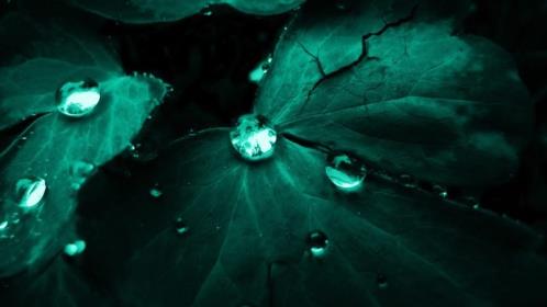 2023抖音短视频个性签名大全女孩超可爱很可爱